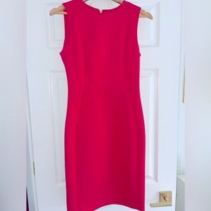 Size 6 Pink Calvin Klein Dress - Gold Zipper